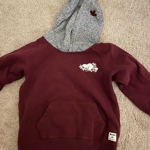Boys Roots pullover hoody